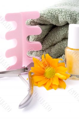 pedicure beauty set