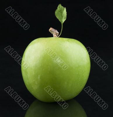 Green Apple