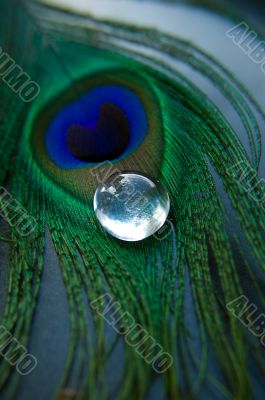 Peacock feather with glass stone