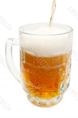 Beer mug