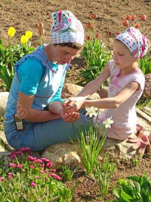 flowers sowing together