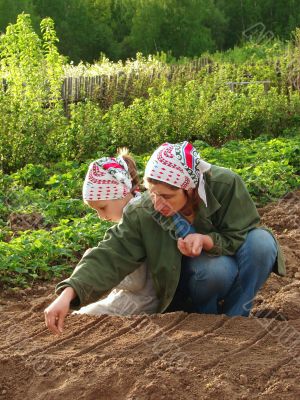 sowing together