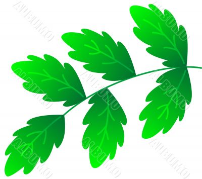 Green branch