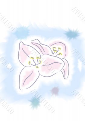 Flower watercolour Flower watercolour