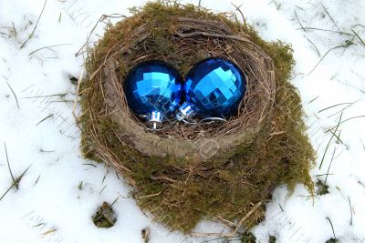 Christmas balls in nest