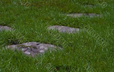 Stones in the grass