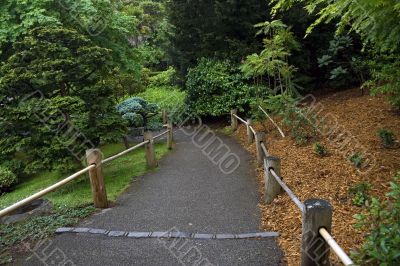 Road with a wooden fence