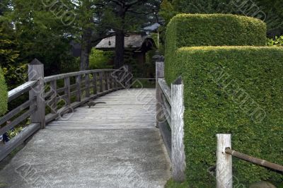 Nice wooden bridge with the running squirrel