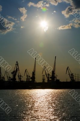 Silhouettes of harbor cranes