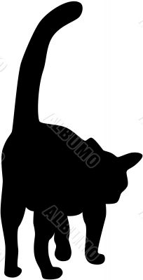 Cat Silhouette