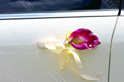 Door of wedding car