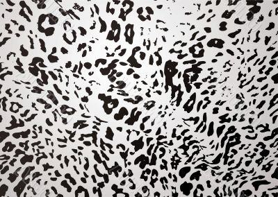 snow leopard