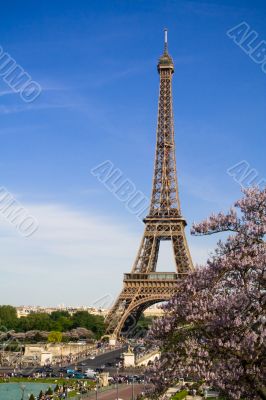 The Eiffel Tower. Spring time The Eiffel Tower. Spring time