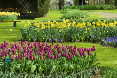 Flower beds in the garden