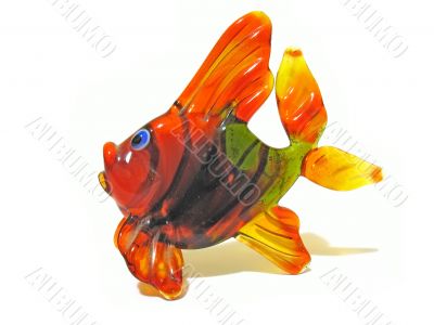 coloured glass fish isolated over white background