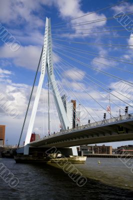 Erasmus Bridge in Rotterdam