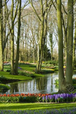 Scenic garden in Lisse Netherlands