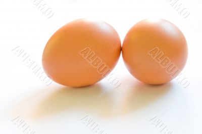 Two brown eggs with soft shadows