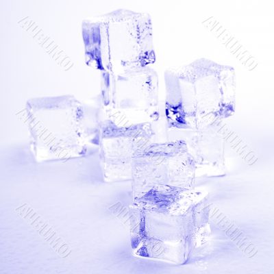 ice cubes closeup ice cubes closeup