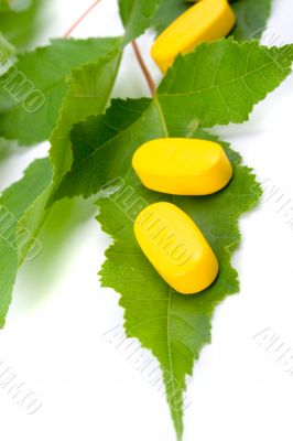 vitamin pills over green leaves