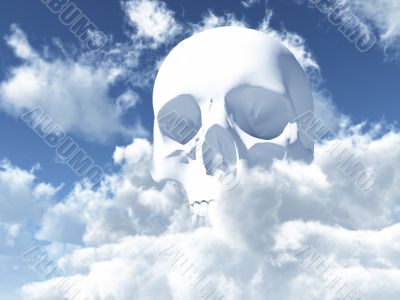 skull skull