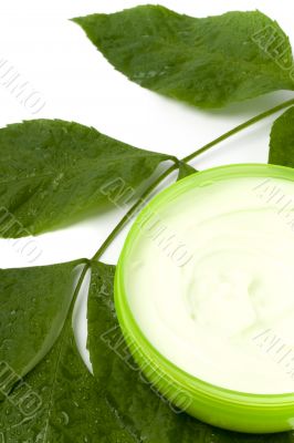face cream with green leaf