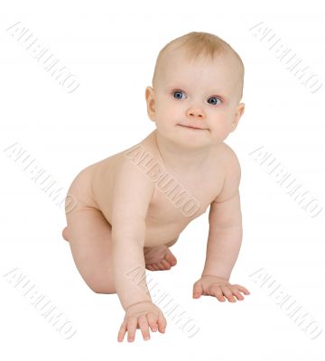 Infant crawl on a white background