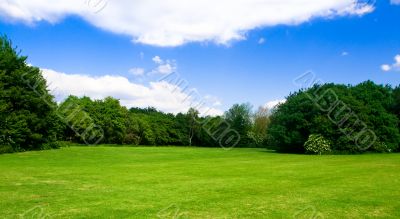 Greed meadow and sky with some clouds