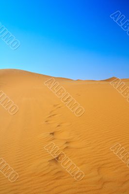 blissful view of sand dunes