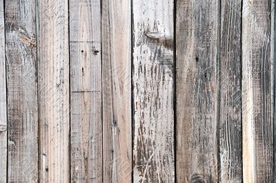 Wood plank background
