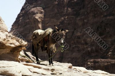 Petra ruins and mountains in Jordan