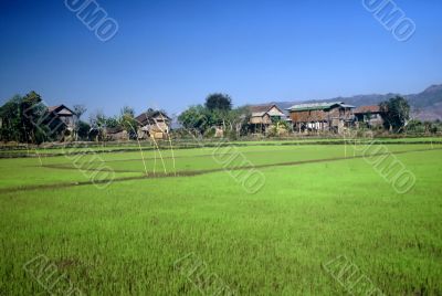 Village,Myanmar