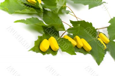 yellow vitamin pills over green leaves