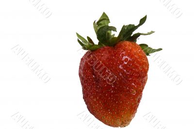appetizing strawberrie