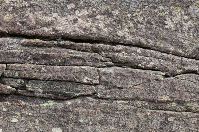 surface of a granite rock covered with a lichen