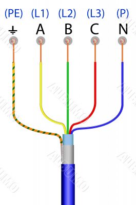 	 Electrical connection