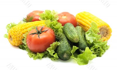 Vegetables isolated