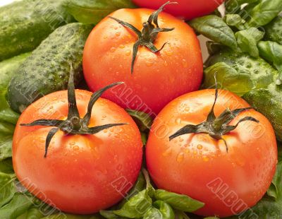 Tomatoes close up