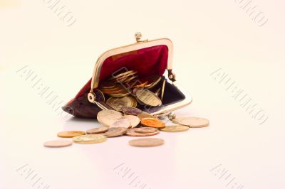 Wallet with coins