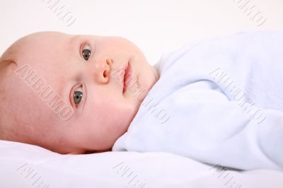 Adorable newborn portrait