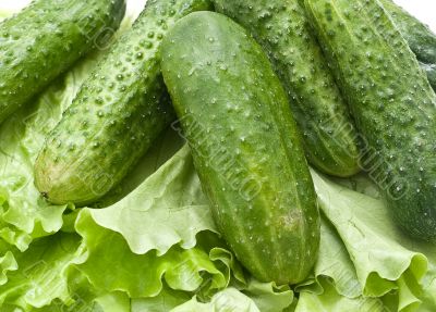 Foodgroup: vegetables