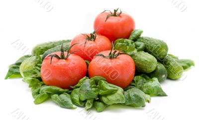 Vivid wet ripe tomatoes