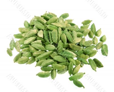 Cardamoms isolated