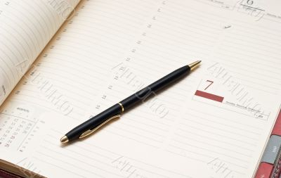 Agenda and pen