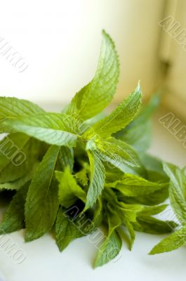 peppermint peppermint