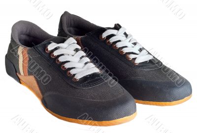 Sport shoes isolated