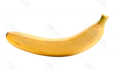 Yellow ripe banana isolated