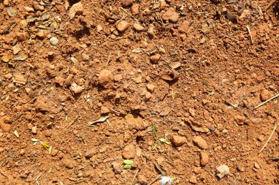 Brown ground background Brown ground background