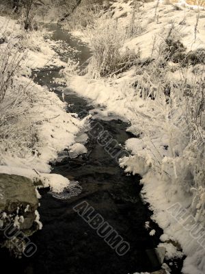 Winter glamour