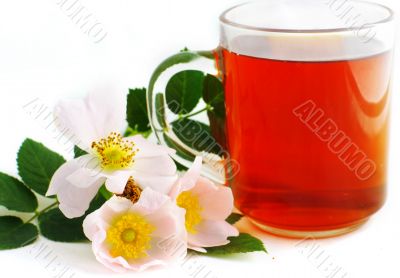 Herbal tea in cup of glass